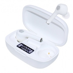 EMAIYOI Digital Hearing Aid for Seniors & Adults with Hearing Loss - 16-Channel, Sound Quality Restoration, Intelligent Noise Reduction, Standby 80h, One-Button Operation, Comfortable Wearing, Skin Color